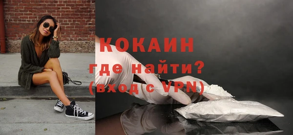 твердый Богородицк