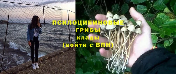 бошки Богородск